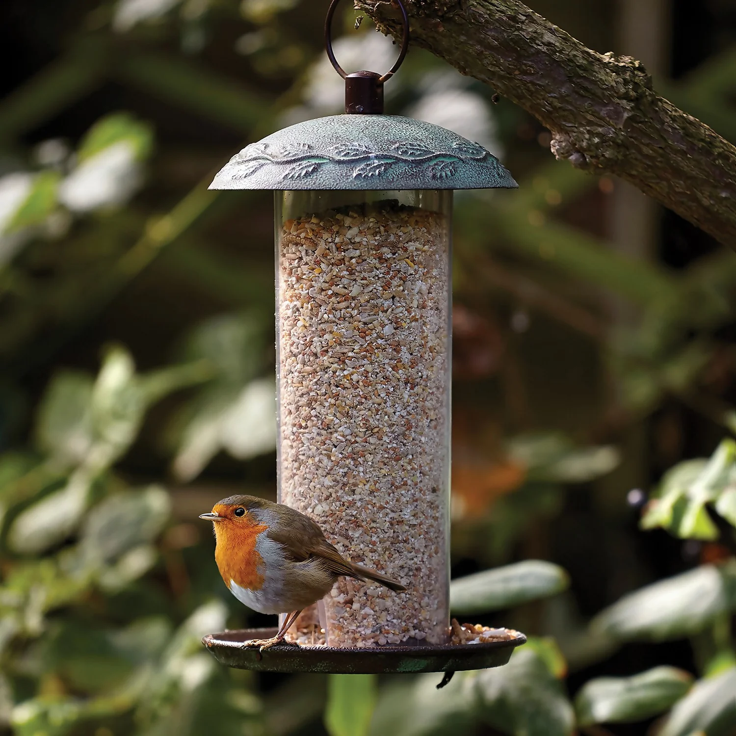 Peckish Complete Seed & Nut Mix Wild Bird Food - 2kg - Image 3