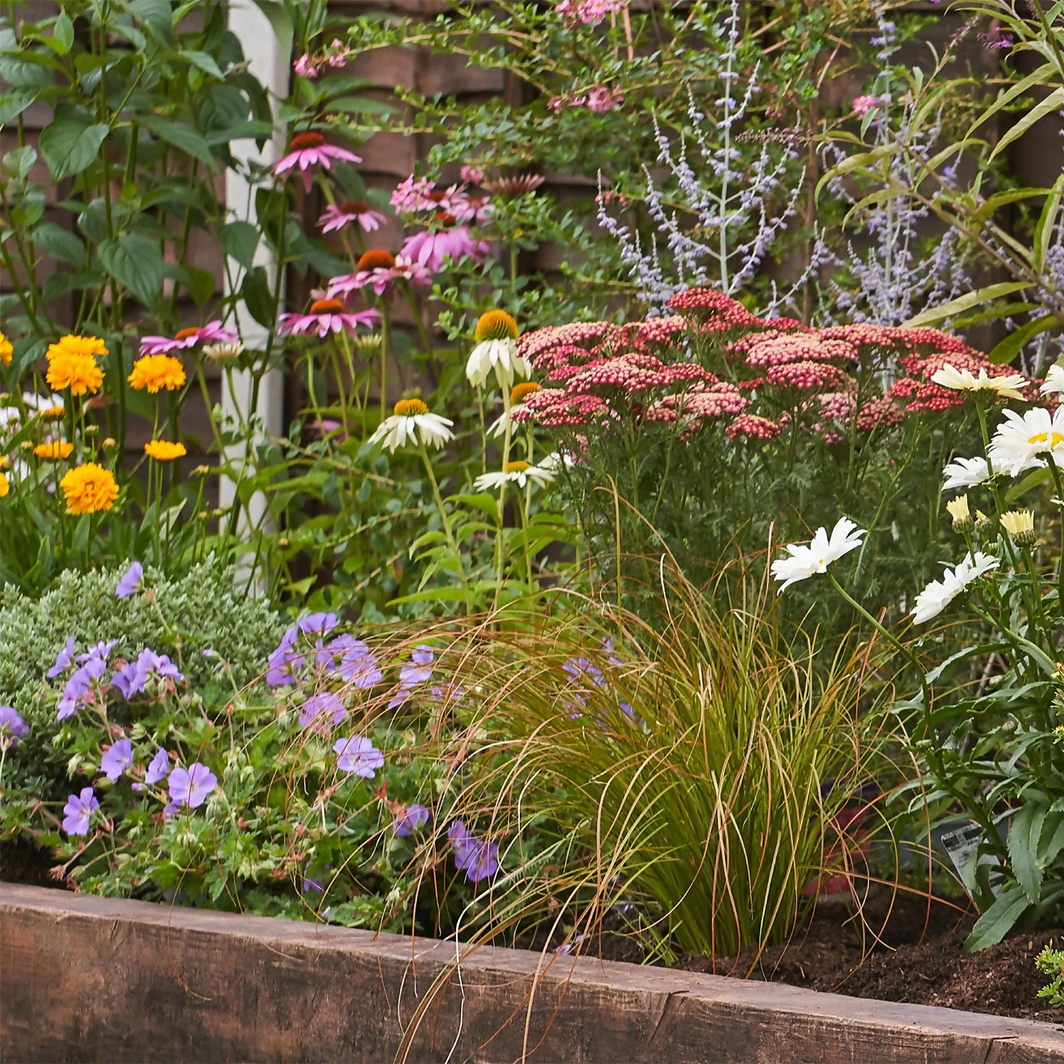 Bee And Butterfly Border Collection - 4m X 90cm - Image 4