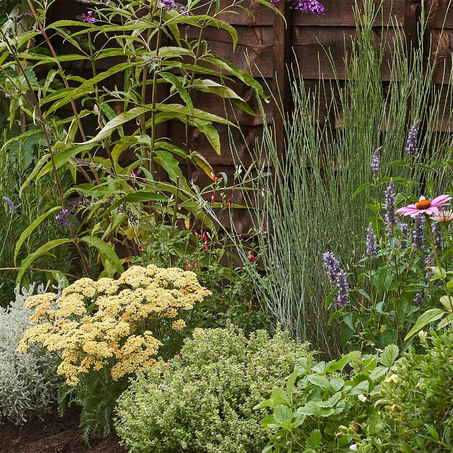 Sensory Border Collection - 8m X 60cm - Image 5