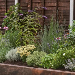 Sensory Border Collection - 4m X 90cm