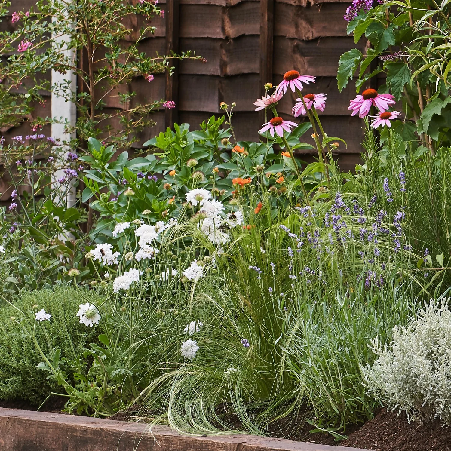 Sensory Border Collection - 5m X 90cm - Image 4