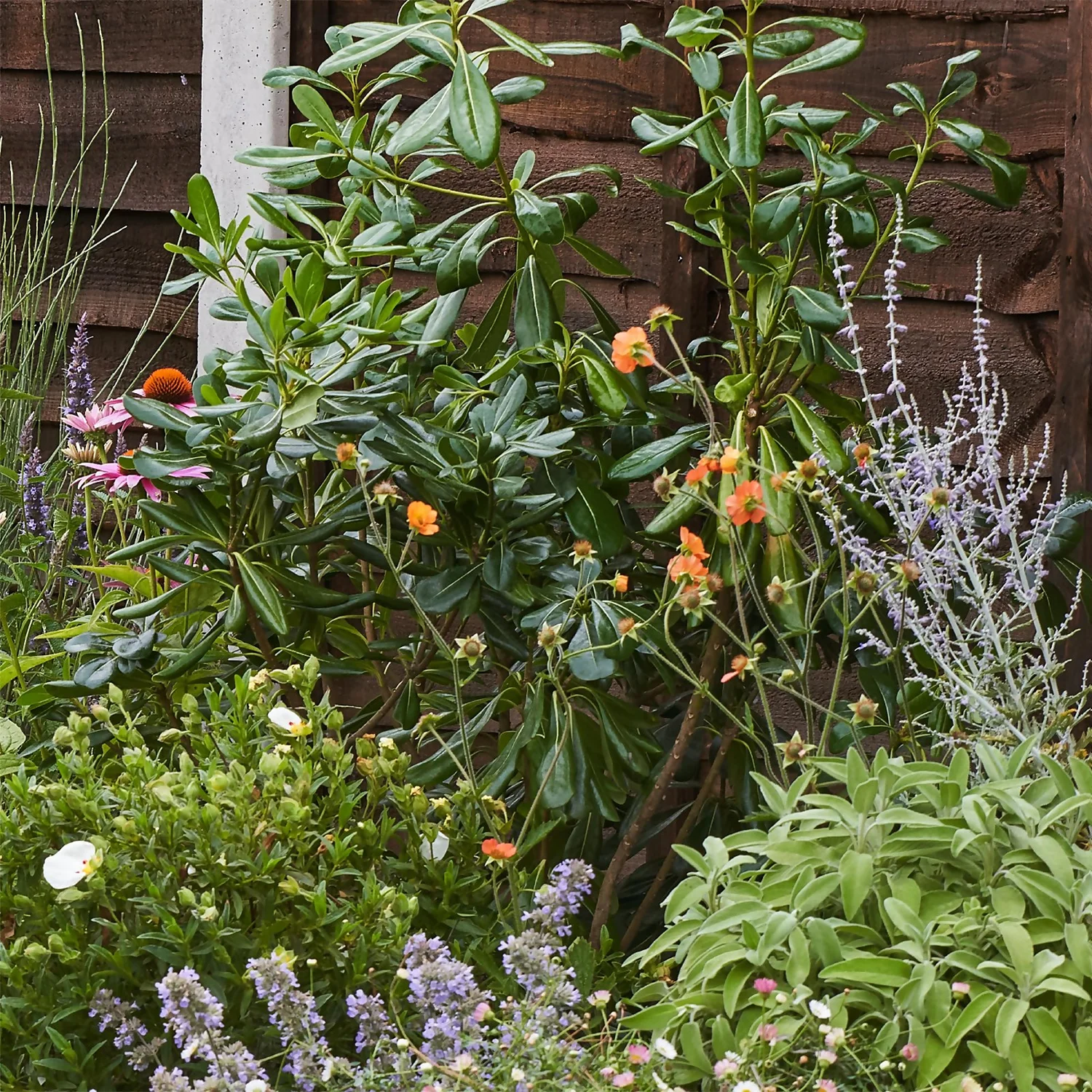 Sensory Border Collection - 5m X 90cm - Image 6