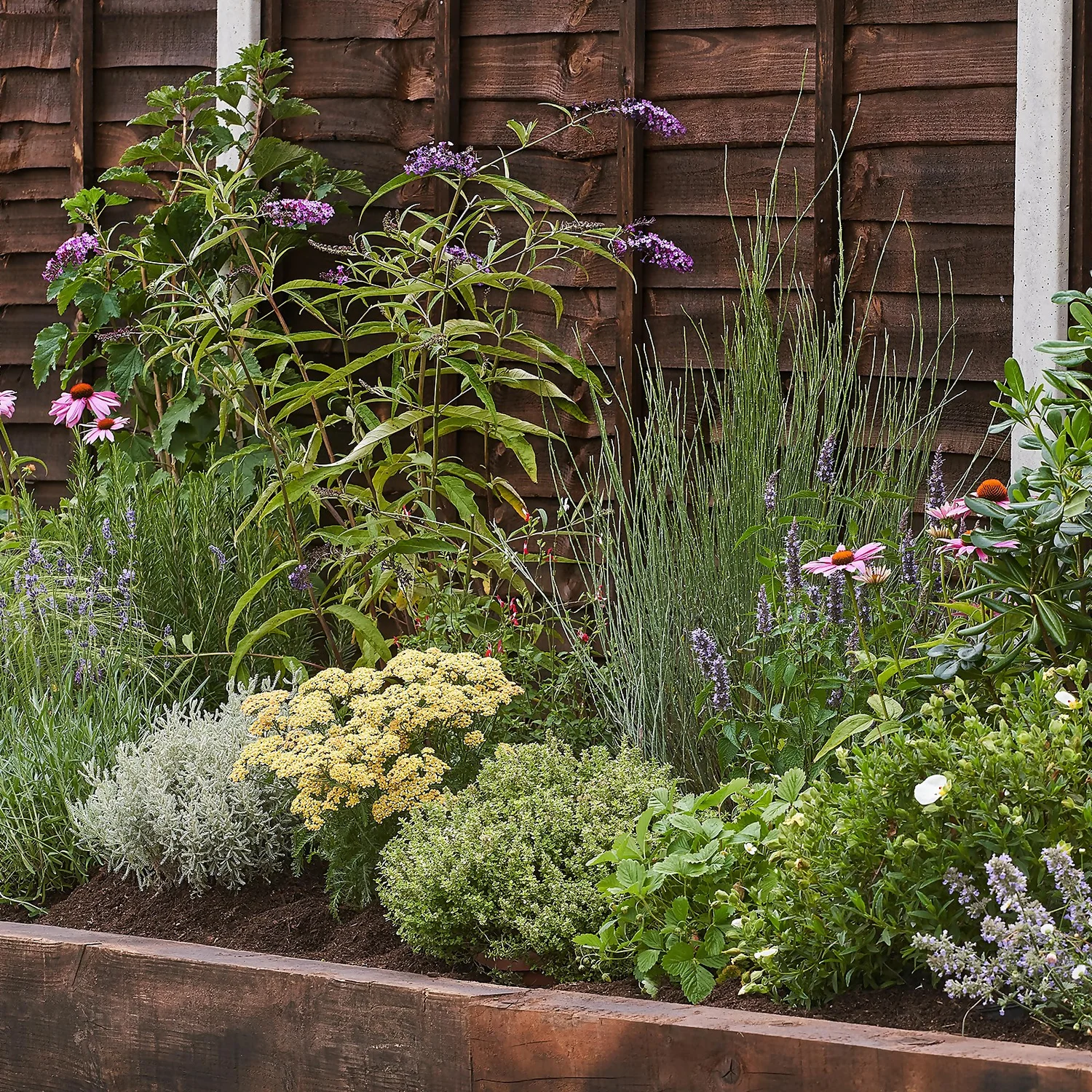 Sensory Border Collection - 5m X 90cm