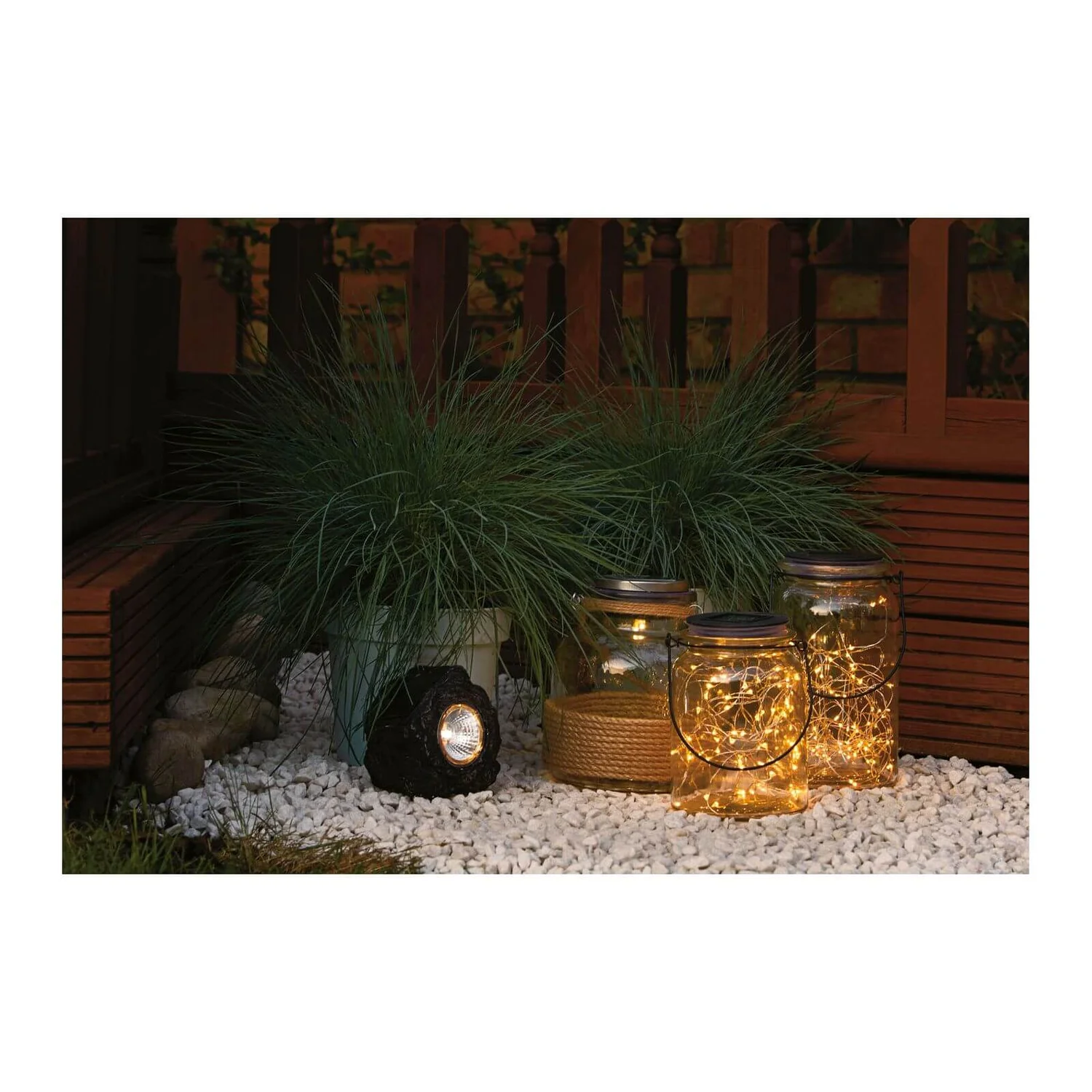 Grass Festuca Intense Blue (Blue Fescue) 17cm - Image 4