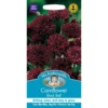 Mr. Fothergill's Cornflower Black Ball (Centaurea Cyanus) Seeds