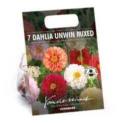 None Mixed Unwin Dahlia's - Summer Bloom Bulbs