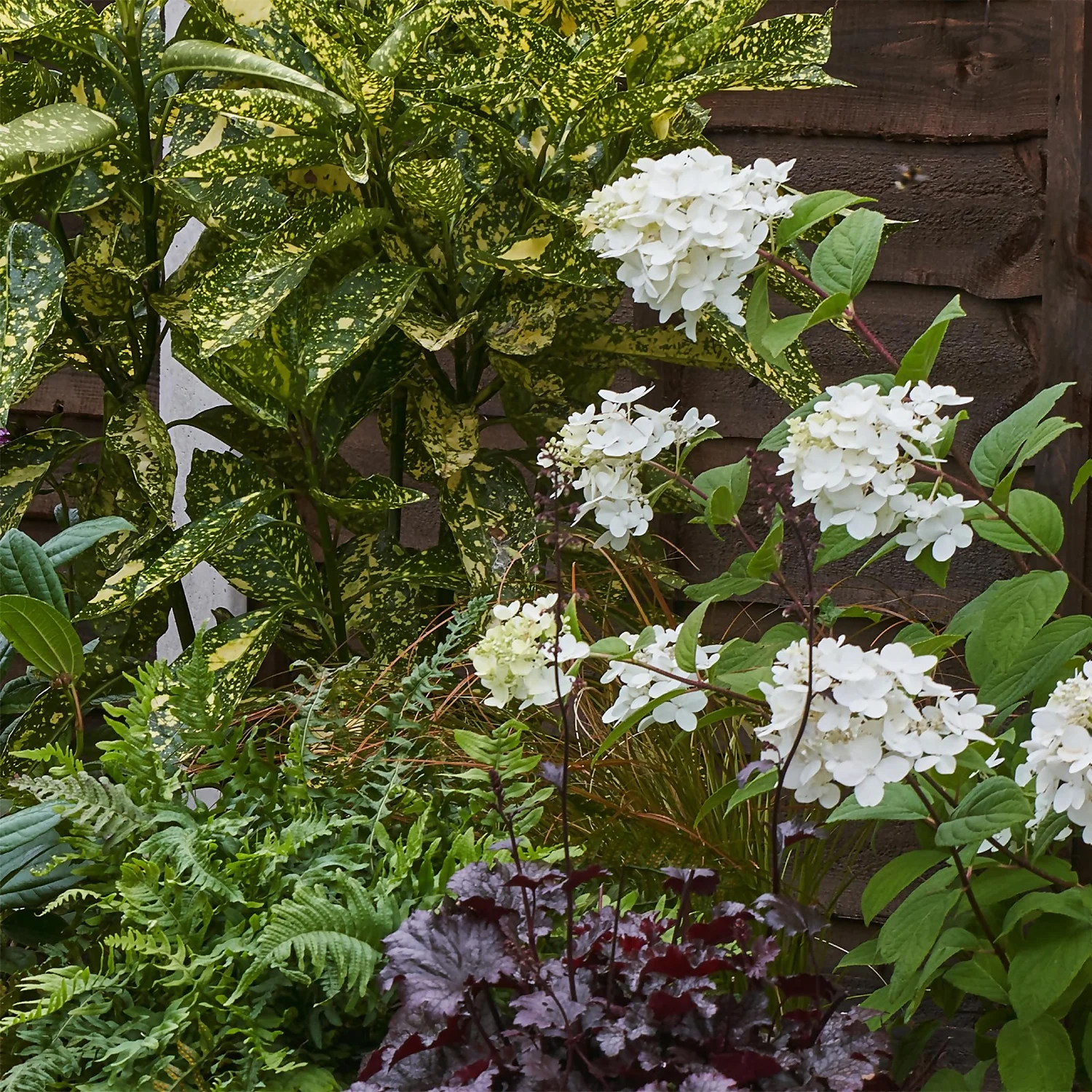 Shady Border Collection - 6m X 60cm - Image 6