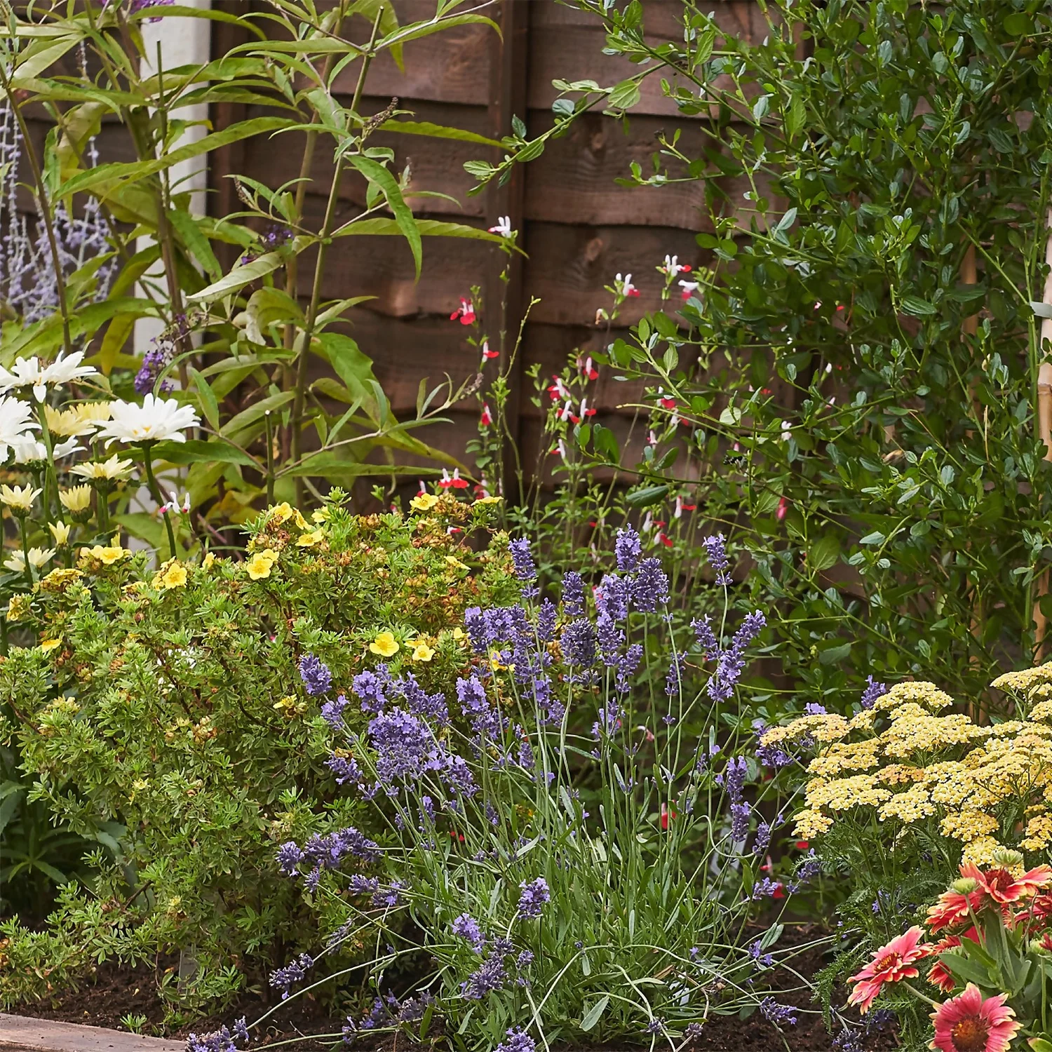 Bee And Butterfly Border Collection - 3m X 60cm - Image 5