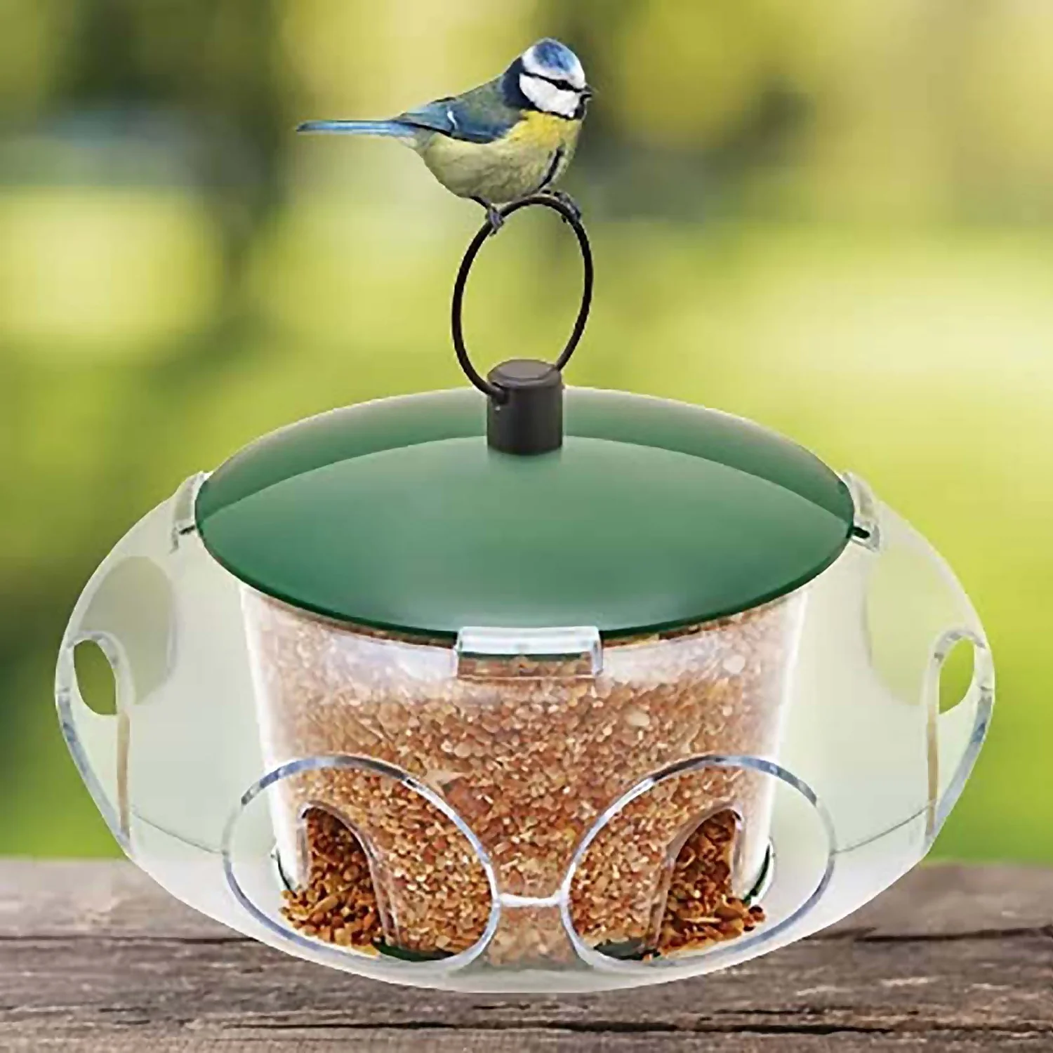 Peckish Wild Bird Seed Feeder - Small - Image 3