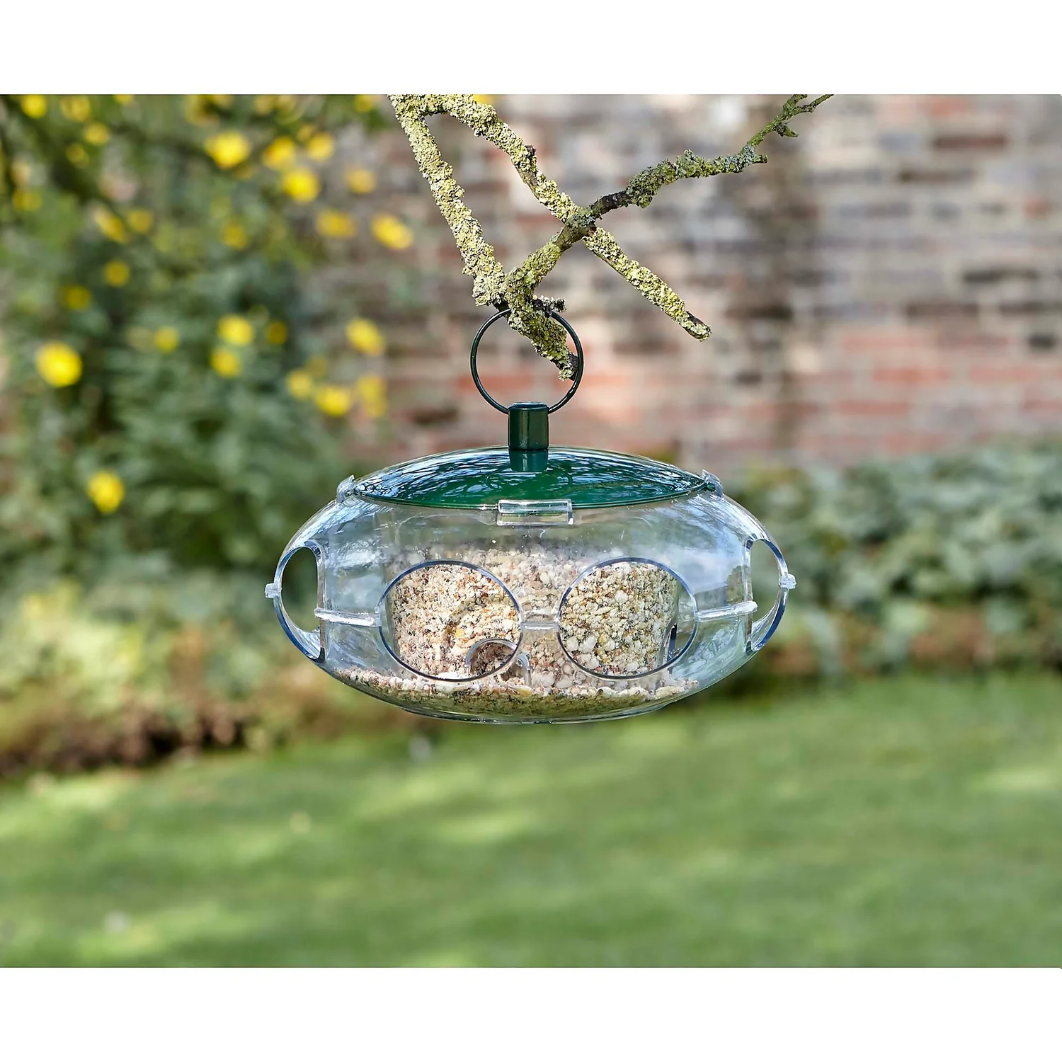 Peckish Wild Bird Seed Feeder - Small - Image 6