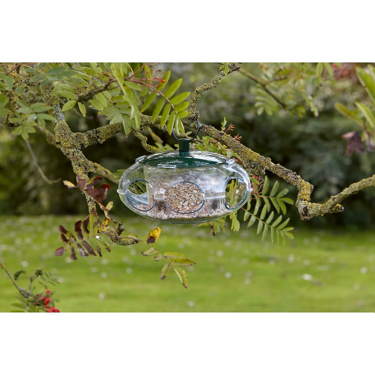 Peckish Wild Bird Seed Feeder - Small - Image 7
