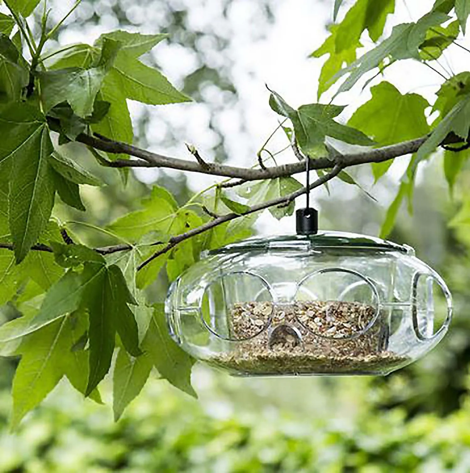 Peckish Wild Bird Seed Feeder - Small - Image 2