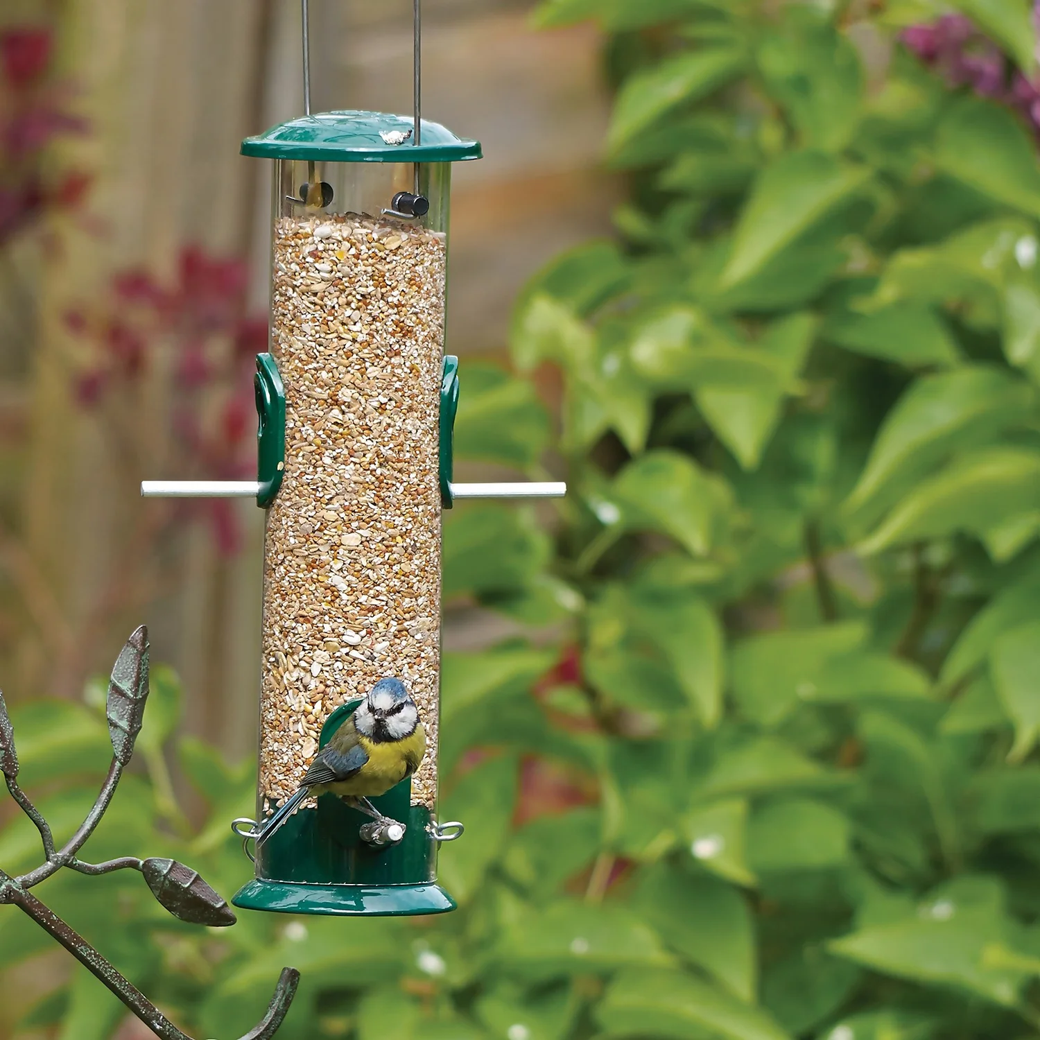 Peckish All Weather Large Seed Wild Bird Feeder - Green - Image 2
