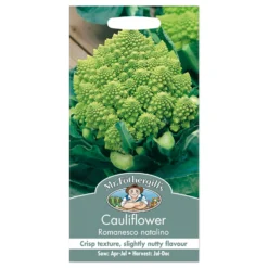 Mr. Fothergill's Cauliflower Romanesco Natalino Seeds