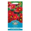 Mr. Fothergill's Cosmos Rubenza Seeds