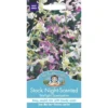 Mr. Fothergill's Stock Night Scented Starlight Scentsation Seeds