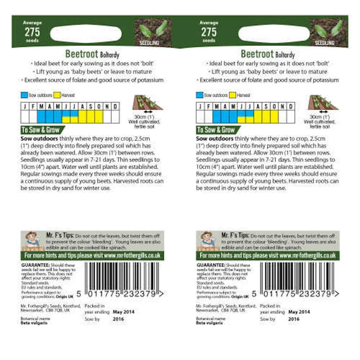 Mr. Fothergill's Beetroot Boltardy Bumper Pack Seeds - Image 2