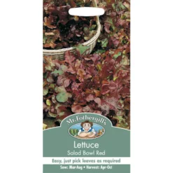 Mr. Fothergill's Lettuce Salad Bowl Red Seeds