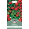 Mr. Fothergill's Tomato Gardeners Delight Fruit Seeds