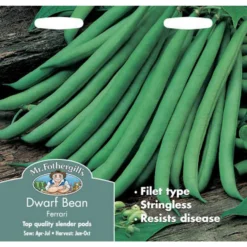 Mr. Fothergill's Dwarf Bean Ferrari Vegetable Seeds