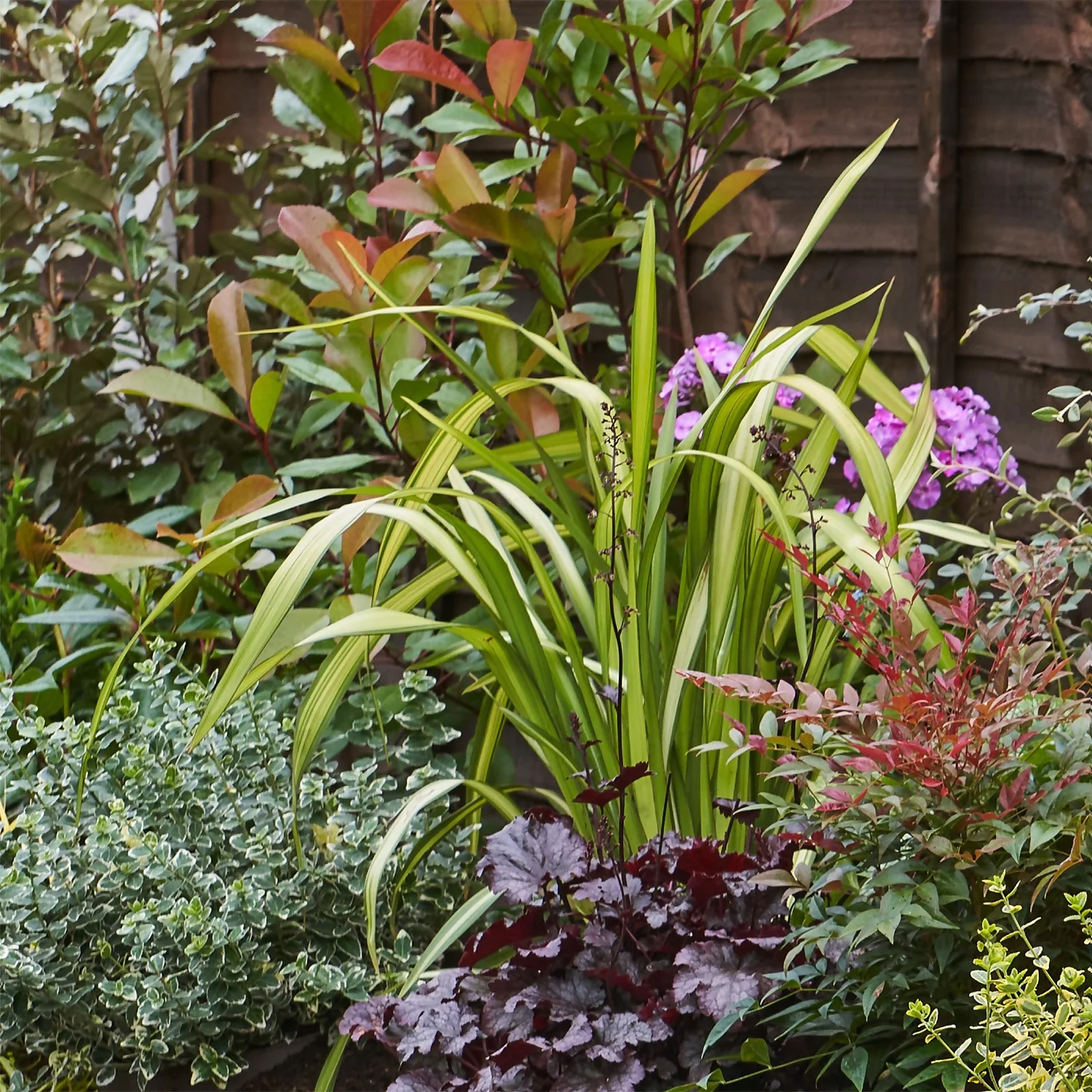 Evergreen Border 4m X 40cm - Image 4