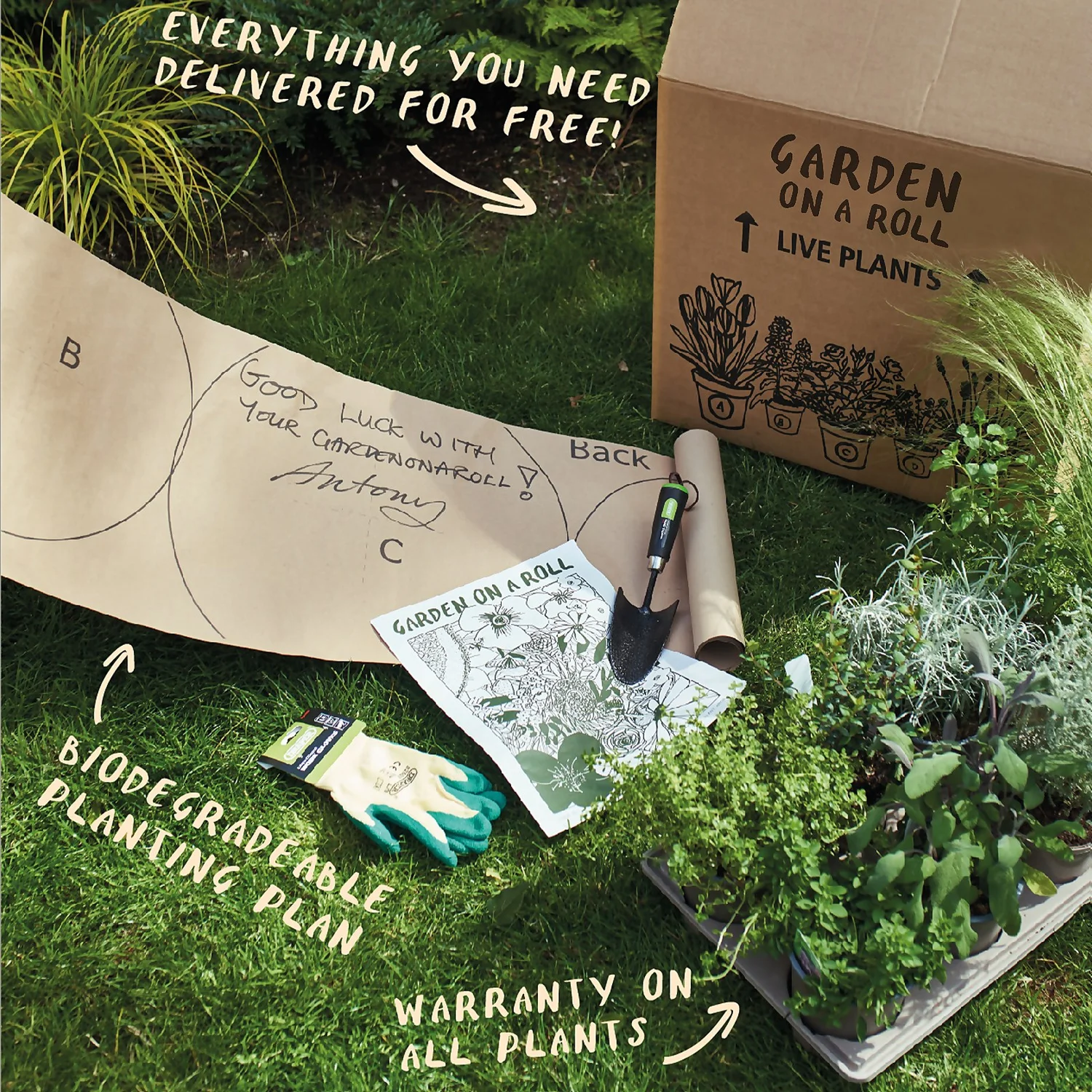 Evergreen Border 4m X 40cm - Image 7