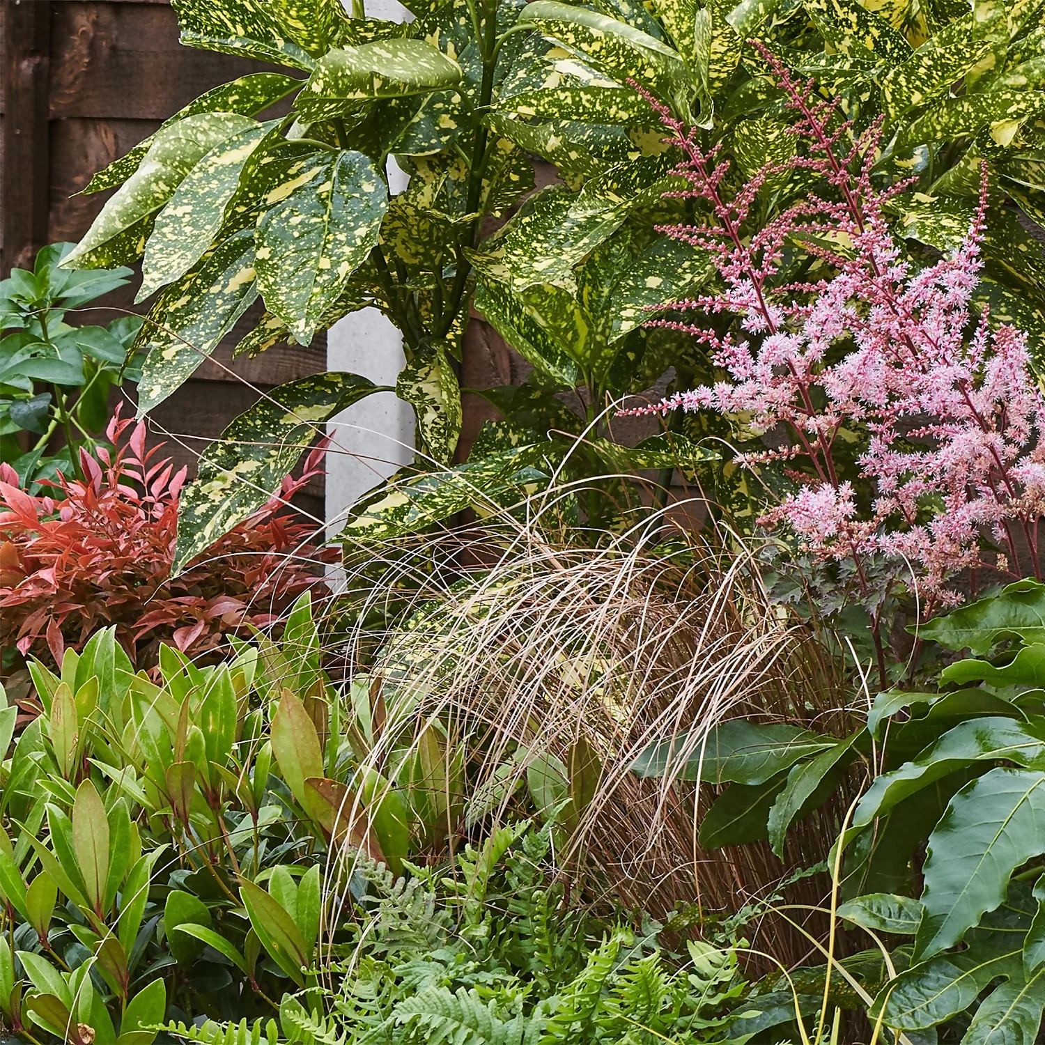 Evergreen Border 5m X 40cm - Image 6