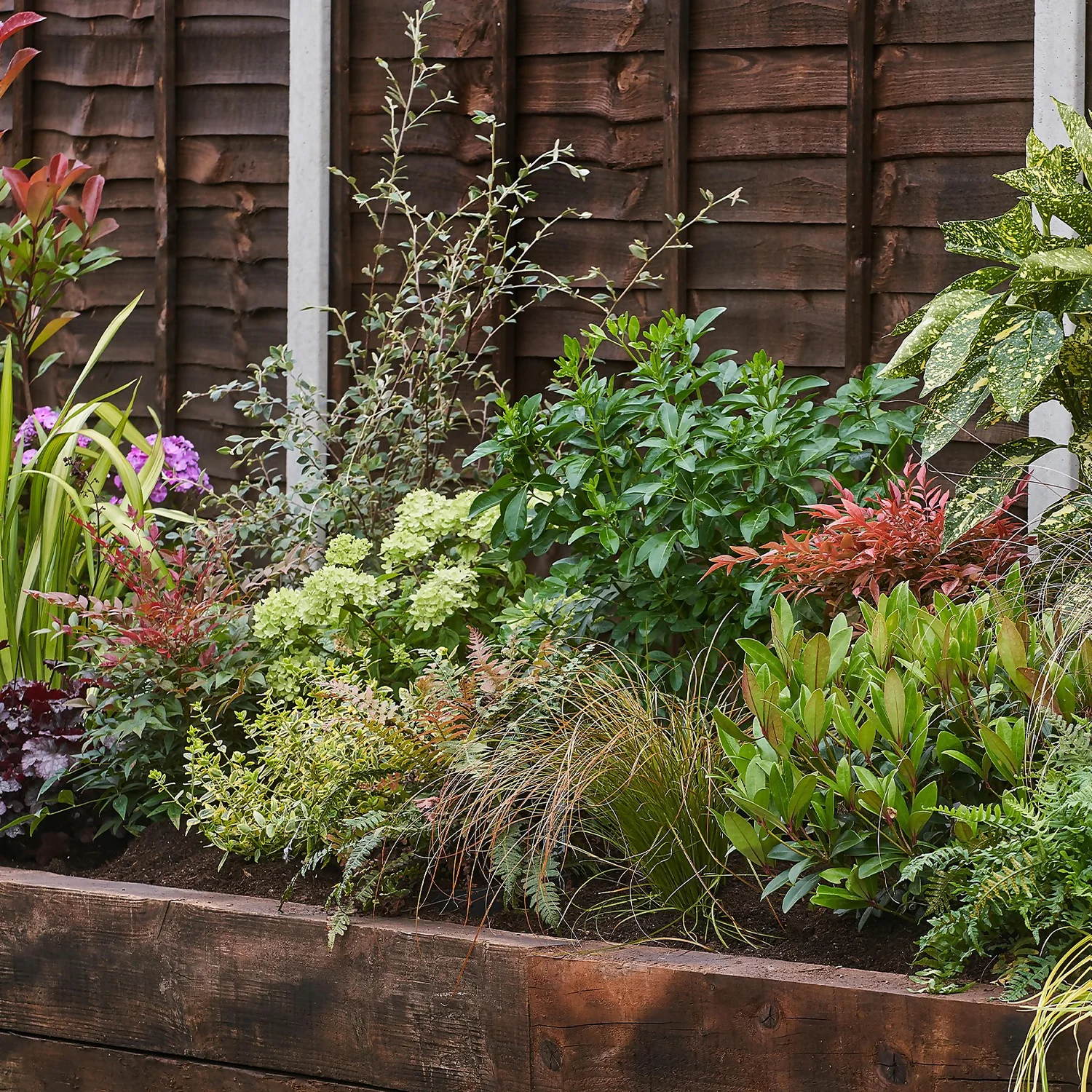 Evergreen Border 5m X 40cm