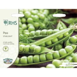 RHS Pea Starlight