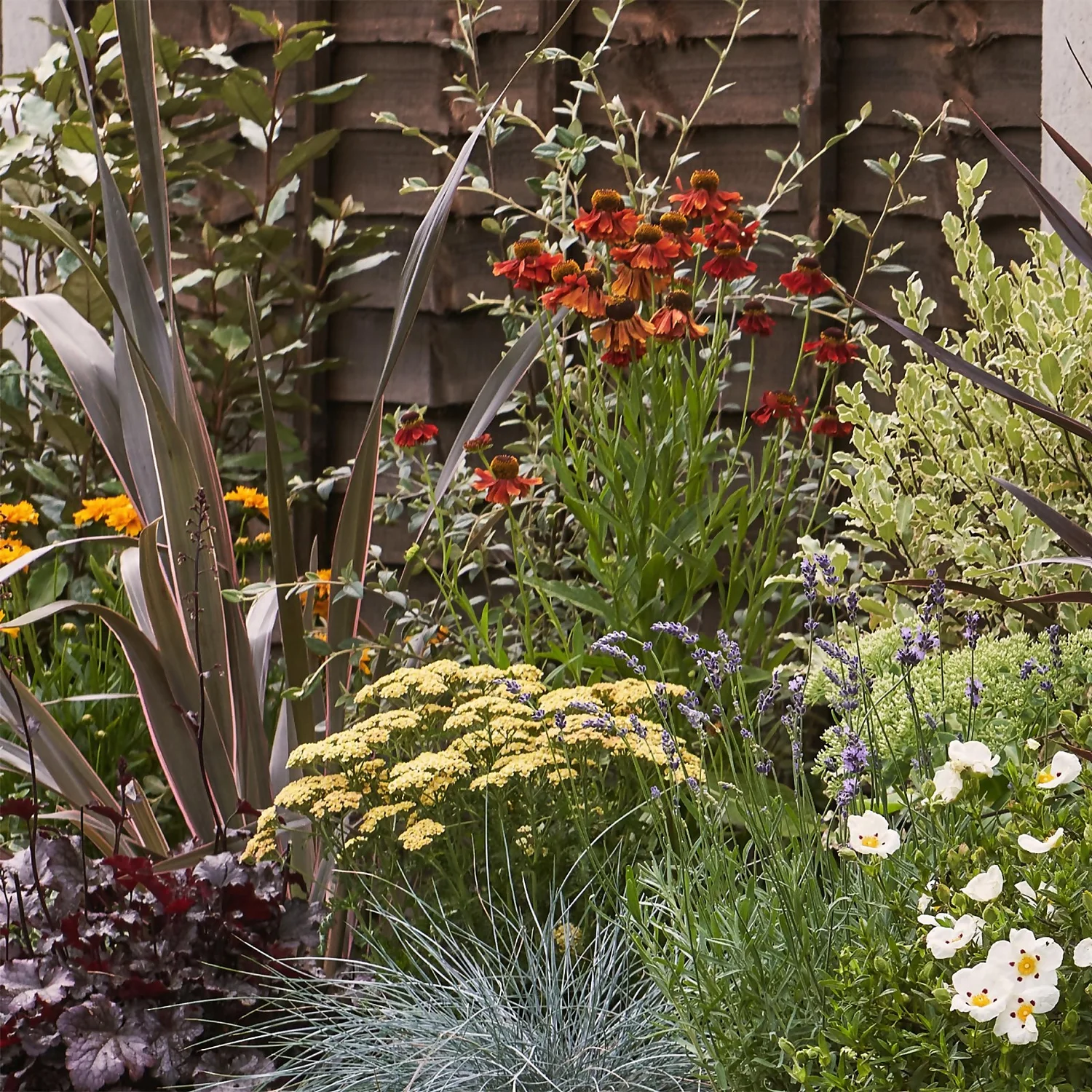 Mediterranean Border 4m X 40cm - Image 4