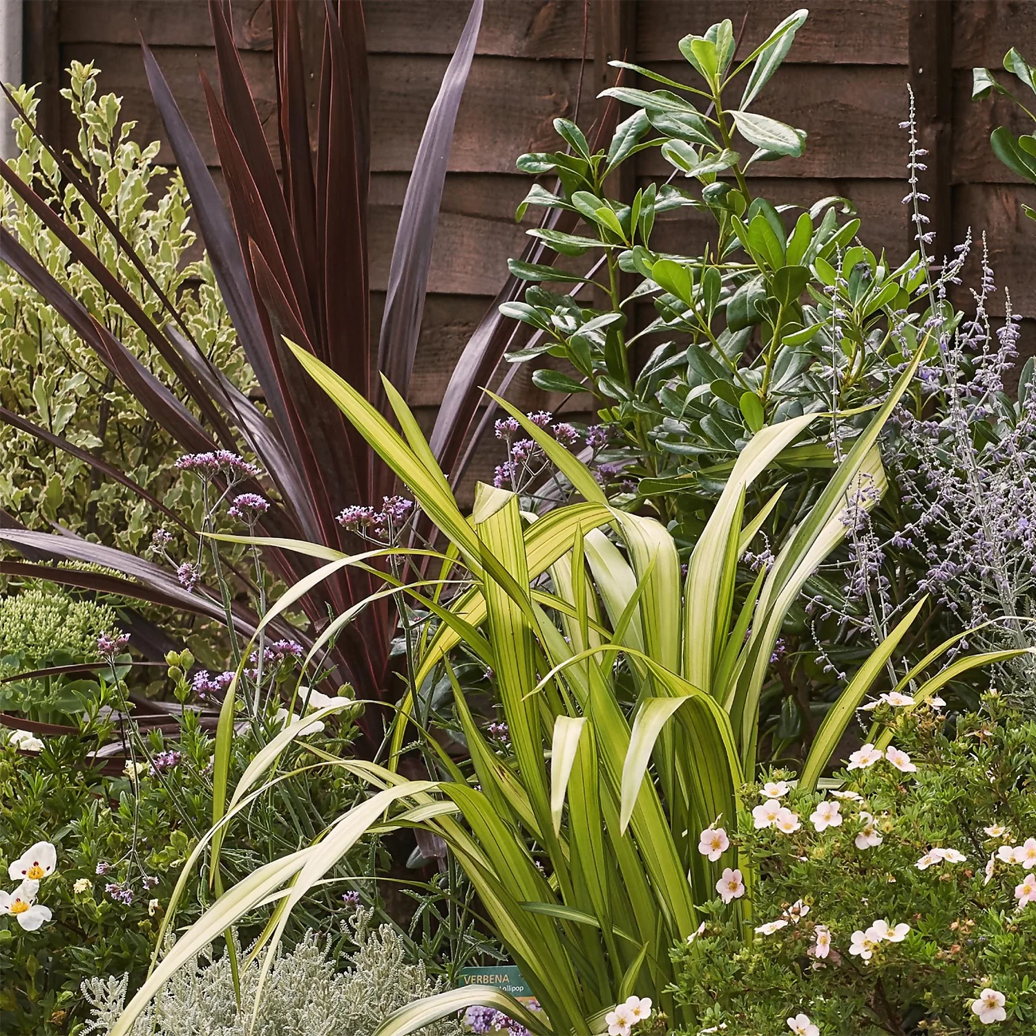 Mediterranean Border 2m X 120cm - Image 5