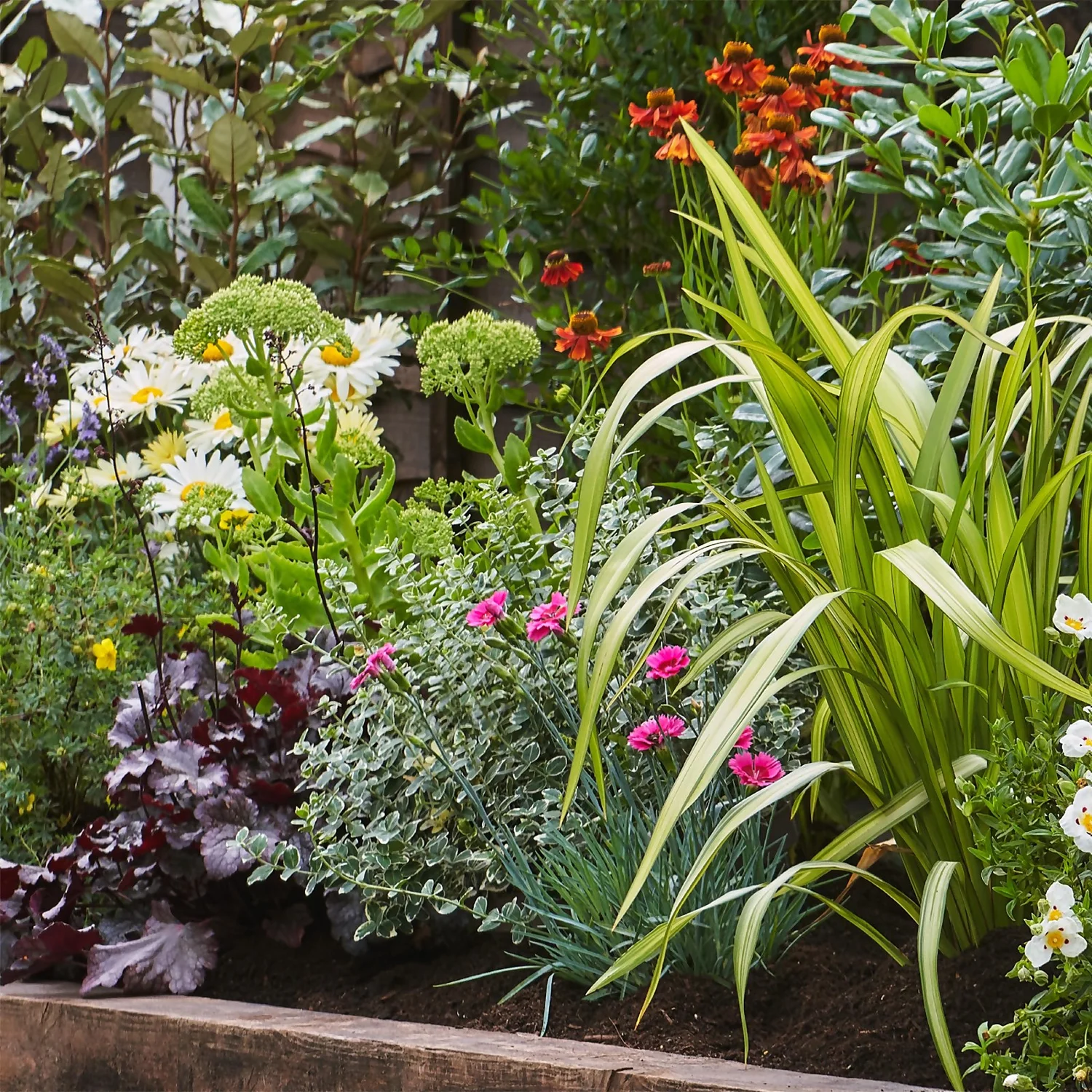 Sunny Border 2m X 120cm - Image 4