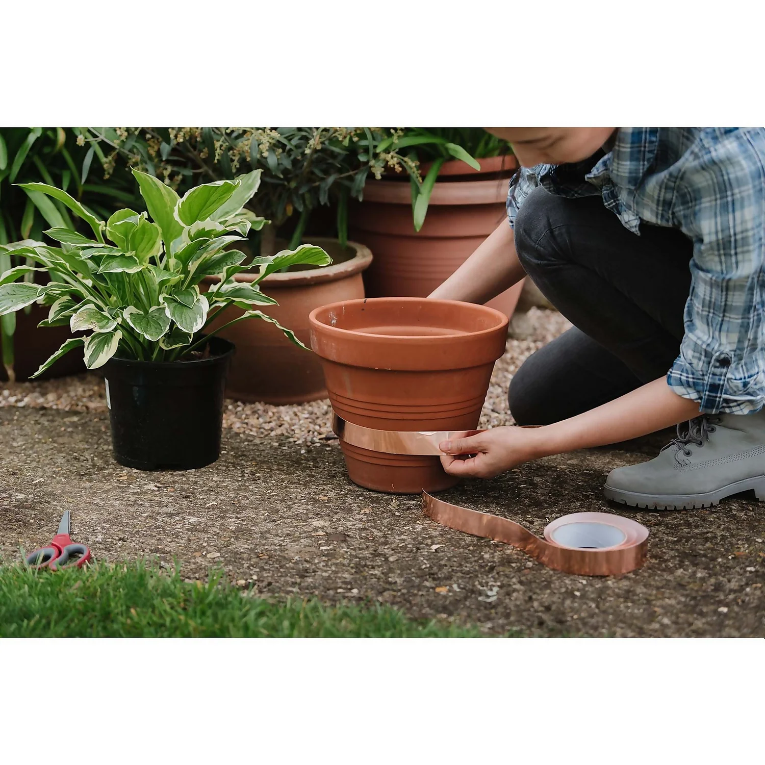 Growing Success Slug Barrier Copper Tape - Image 2