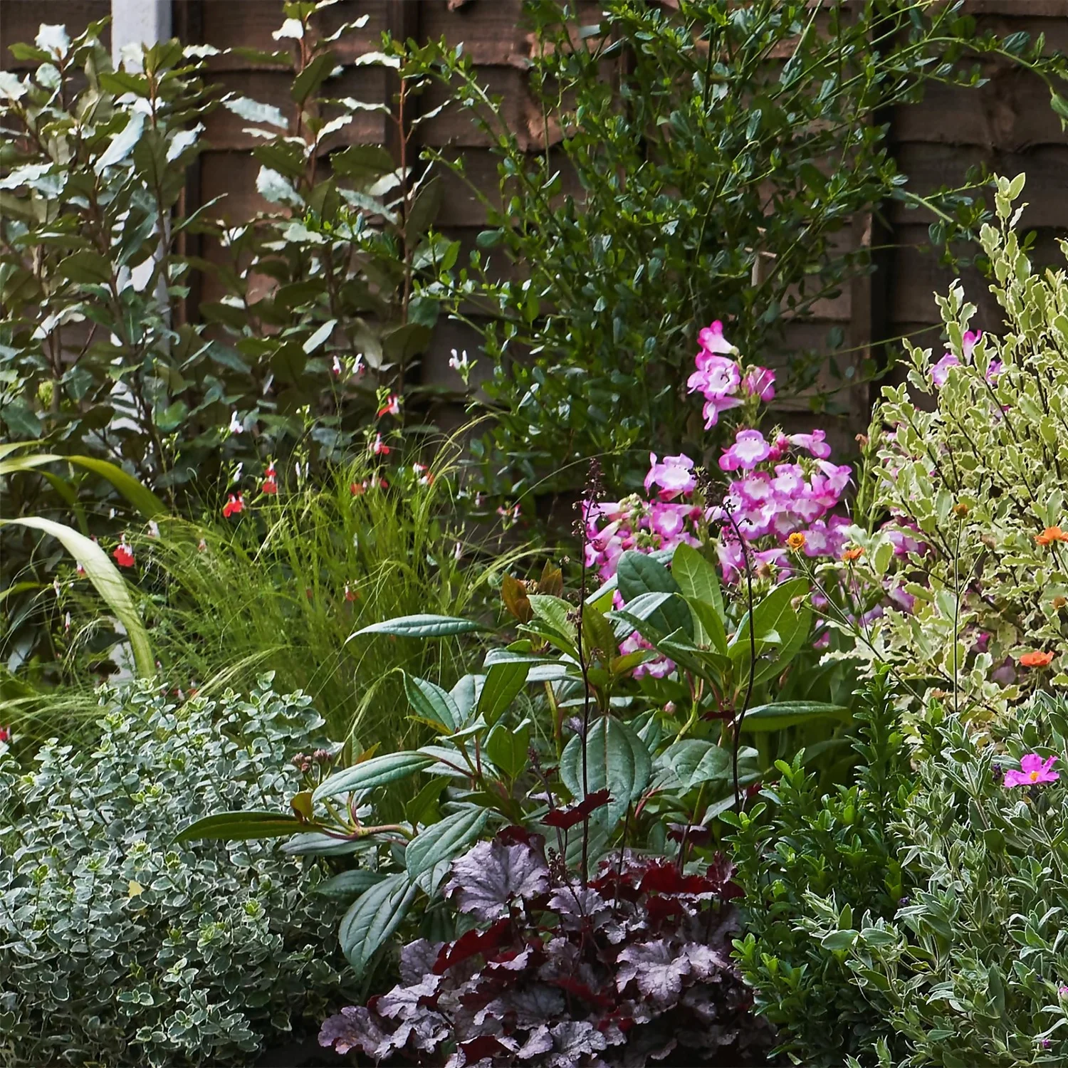 Garden On A Roll Eco Border - 6m X 40cm - Image 4