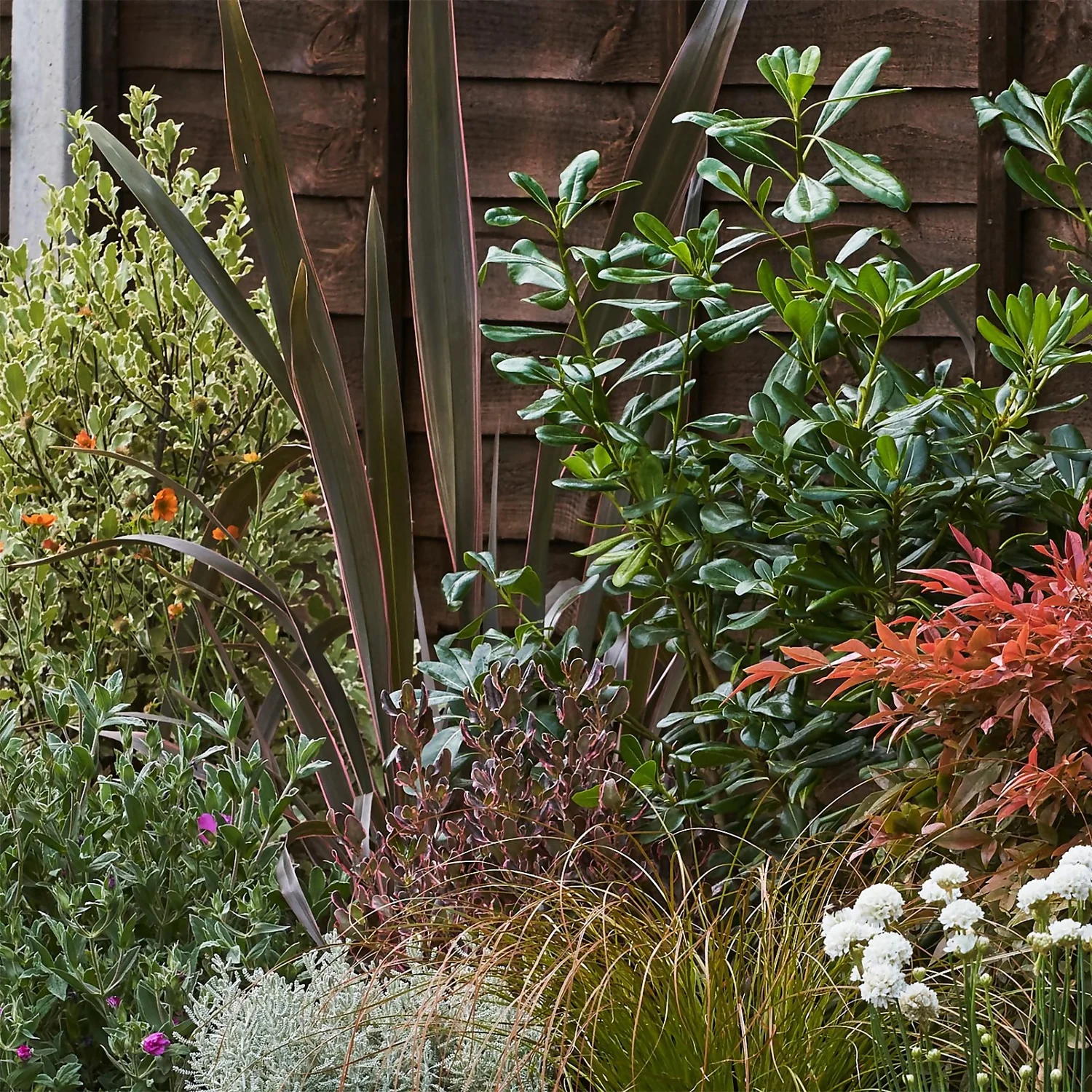 Garden On A Roll Eco Border - 6m X 90cm - Image 5