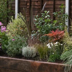 Garden On A Roll Eco Border - 6m X 120cm