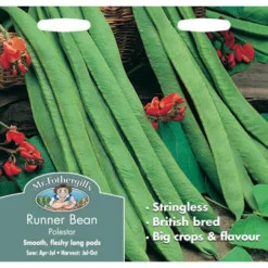 Mr. Fothergill's Runner Bean Stringless Polestar (Phaseolus Coccineus) Seeds