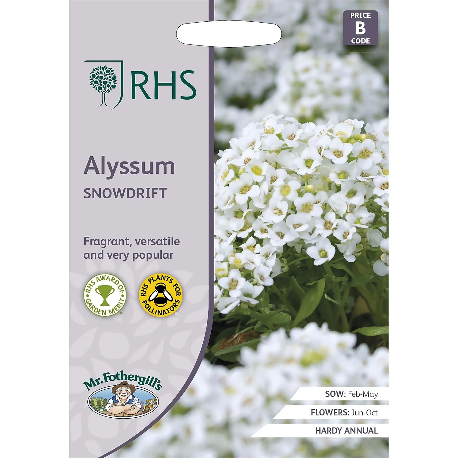 RHS Alyssum Snowdrift Seeds