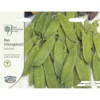 RHS Pea Mangetout Delikata Seeds