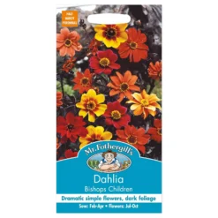Mr. Fothergill's Dahlia Bishops Children Seeds