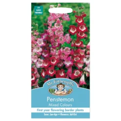 Mr. Fothergill's Penstemon Mixed Colours Seeds