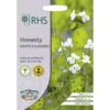 RHS Honesty White-Flowered