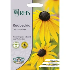 RHS Rudbeckia Goldsturm