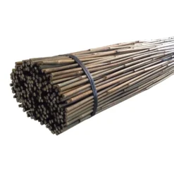 10 Pack Bamboo Canes - 1.5m/5ft