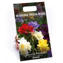 None Freesia Double Mixed