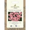 Country Living Sweet Pea Alan Titchmarsh Seeds