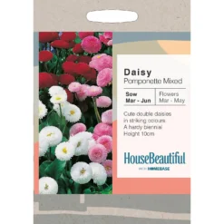 House Beautiful Daisy Pomponette Mixed Seeds
