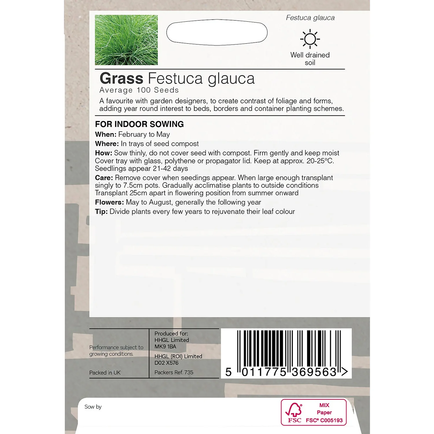 House Beautiful Grass Festuca Glauca Seeds - Image 2