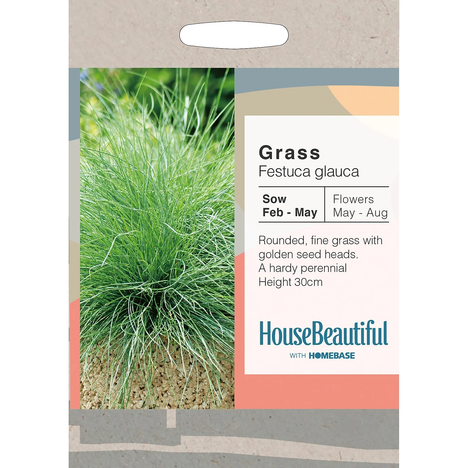House Beautiful Grass Festuca Glauca Seeds