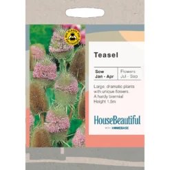 House Beautiful Teasel Seeds